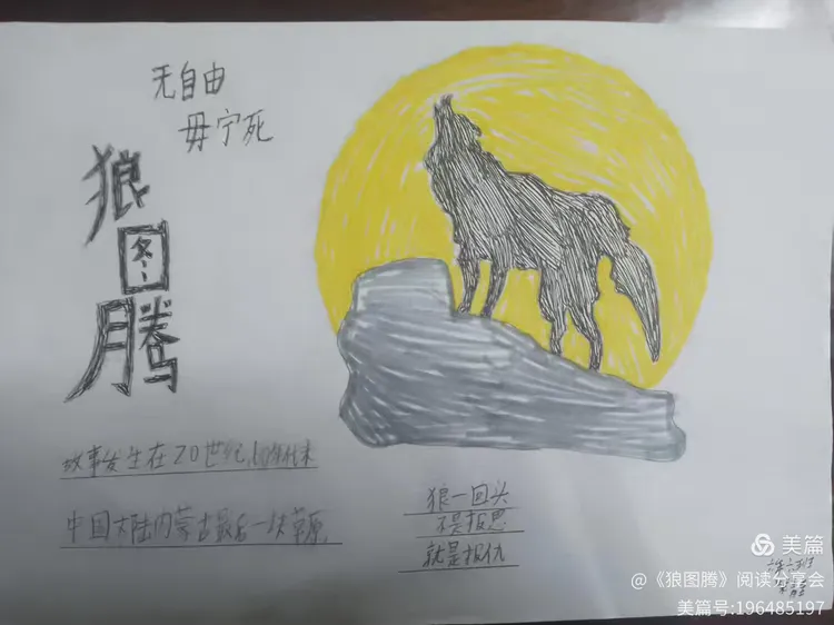 《狼图腾》读书笔记,手抄报